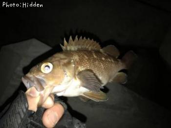 ������Х�