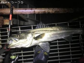 �����Х�