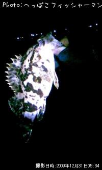 ¥Ù¥Ã¥³¥¦¥¾¥¤