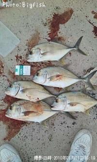 ¥¬¡¼¥é¡Ê¥ª¥Ë¥Ò¥é¥¢¥¸¡Ë