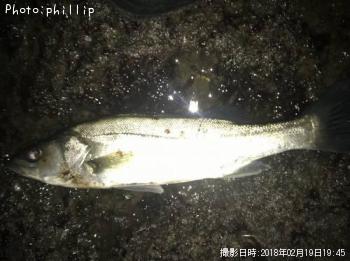 �����Х�