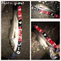 �����Х�