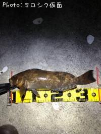 �����ʥ�