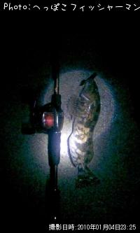 �����ʥ�