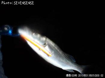 �����Х�