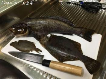 ¥¢¥¤¥Ê¥á¡õ¥«¥ì¥¤