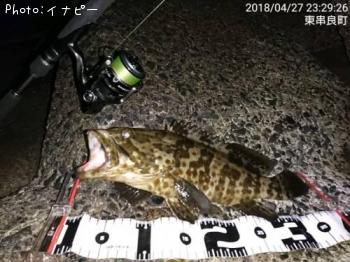 ���㥤���ޥ�ϥ�