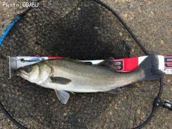 �����Х�