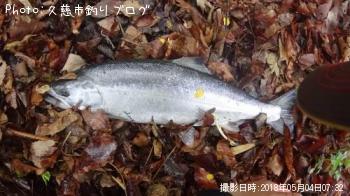 ¥µ¥¯¥é¥Þ¥¹