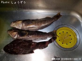 ���������������֥��