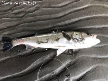 �����Х�