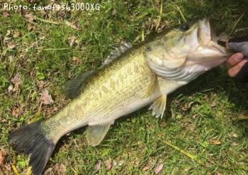 ¥Ö¥é¥Ã¥¯¥Ð¥¹