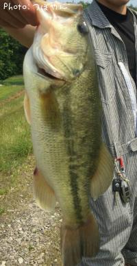 ¥Ö¥é¥Ã¥¯¥Ð¥¹