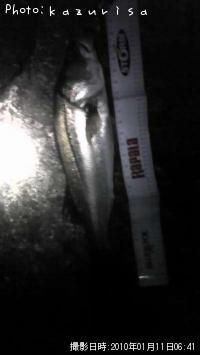 �����Х�