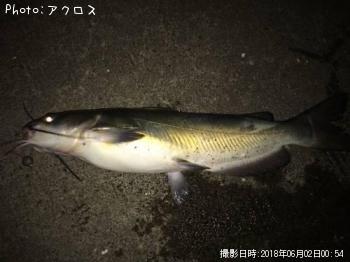 ¥Á¥ã¥Í¥ë¥¥ã¥Ã¥È