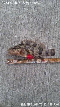 �����Υ���Х�