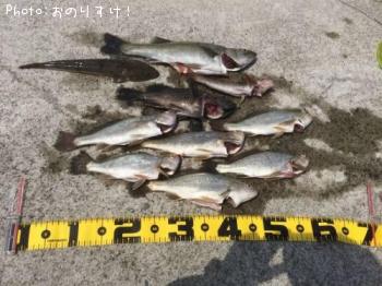 ¥¤¥·¥â¥Á¡¢¥·¡¼¥Ð¥¹¡¢Â¾