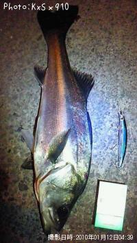 �����Х�