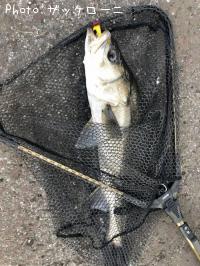 �����Х�