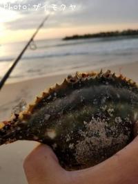 ¥ï¥¿¥ê¥¬¥Ë