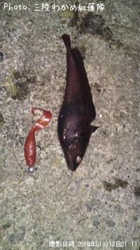 �������������ʥ�