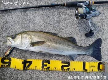 �����Х�