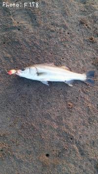 �����Х�