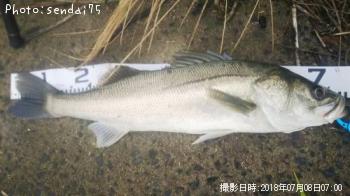 �����Х�