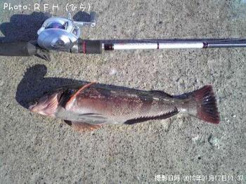 �����ʥ�