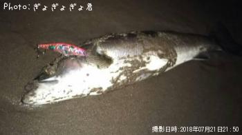 �����Х�