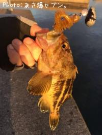 ���ޥ���