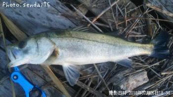 �����Х�