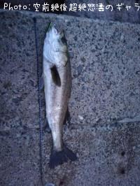 �����Х�