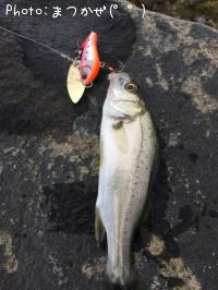 �����Х�