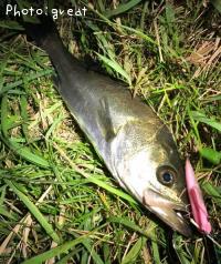 �����Х�