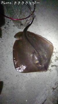 �ĥХ�����������������