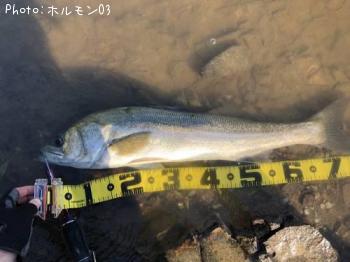 �����Х�