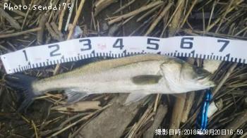 �����Х�