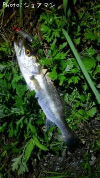 �����Х�