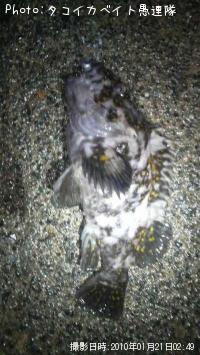 �����饽��