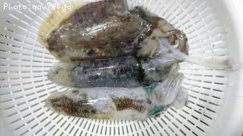 �����ꥤ��