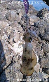 �����ꥤ��