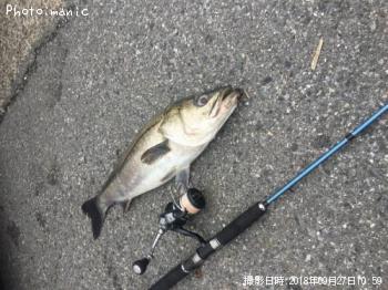 �����Х�