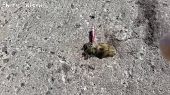 �����ꥤ��