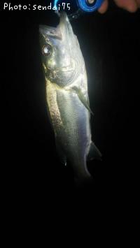 �����Х�