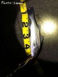 �����Х�