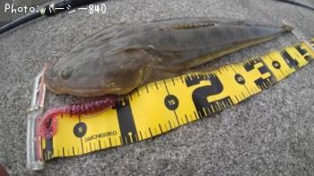 ¥Õ¥é¥Ã¥È¥Ø¥Ã¥É