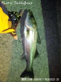 �����Х�