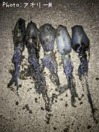 �����ꥤ��