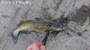 ����åȥե��å���